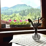Auwirt فندق سالباخ هينترغليم