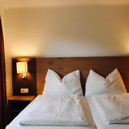 Otel Auwirt *